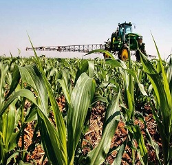 IC-Br sobe 5,02% em outubro, informa o BC