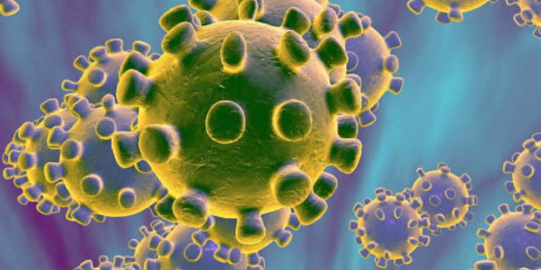 Design-sem-nome-11-768×432